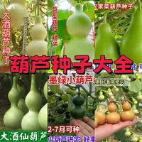 【全店满6包包邮】葫芦种子大全谭萌萌翻车后续南瓜