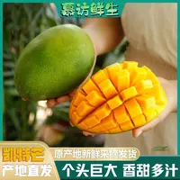 【产地直发】凯特芒果四川攀枝花产地直发当季新鲜水果