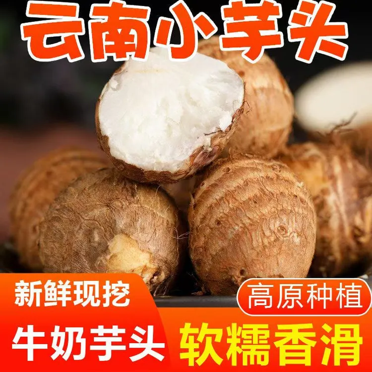 云南高山牛奶小芋头新鲜应季蔬菜现挖现发香甜软糯产地直供