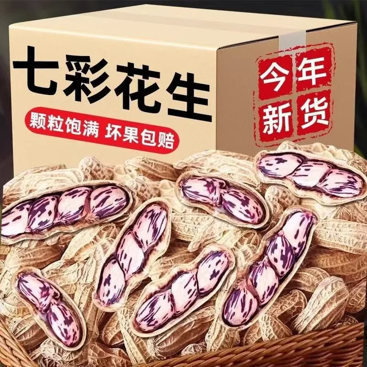 云南晒干原味带壳生熟彩色牛奶花生七彩花生坚果零食干货特产