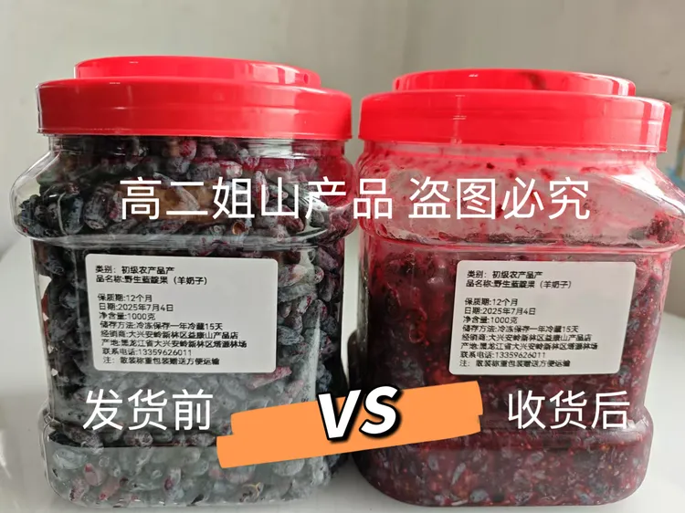 大兴安岭野生都市（野生蓝莓）浆果运输会出汁介意勿拍