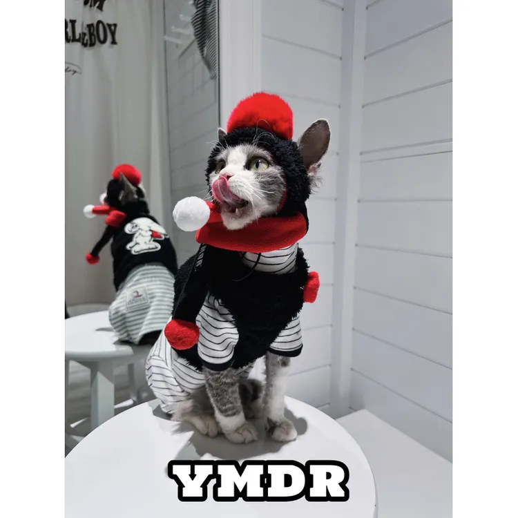 YMDR德文猫衣服无毛猫衣服原创史努比纯棉条纹四脚两脚衣可爱马甲