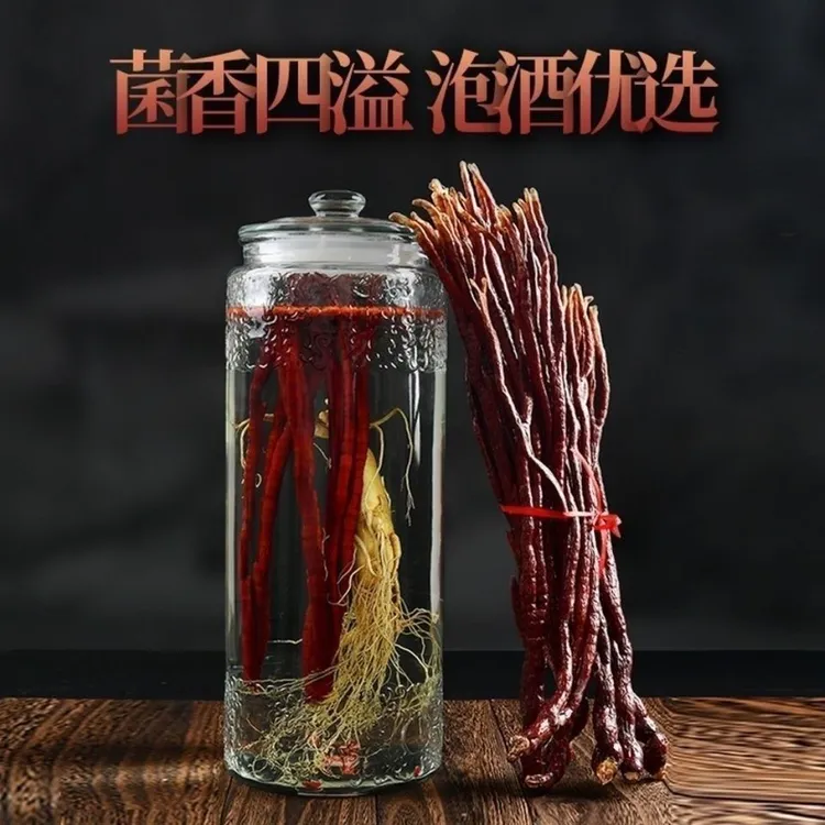 精选鹿角灵芝灵芝草净重250克