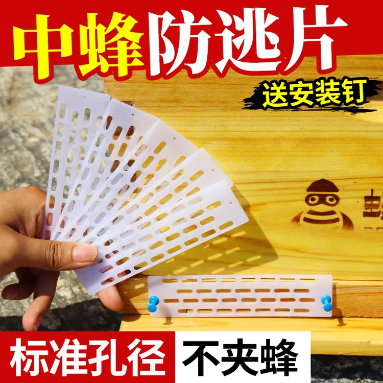 塑料蜂王防跑片中蜂专用防逃片蜜蜂箱巢门防盗隔王板送钉标准工具