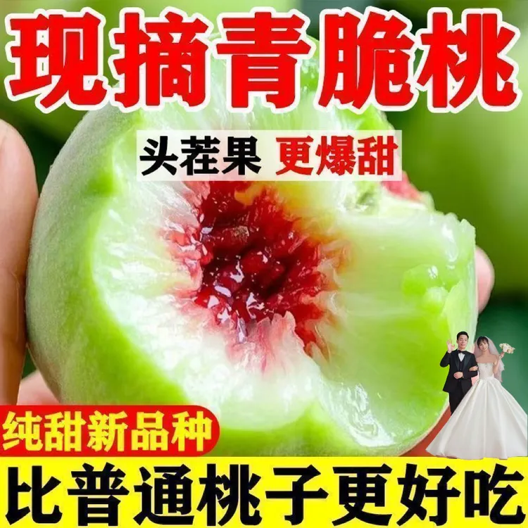 【京东直达】大青翠蜜桃正宗脆桃蜜桃毛桃酥脆甜口现摘现发发9月桃
