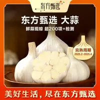 东方甄选大蒜3斤装白皮蒜干蒜头蒜香浓郁蔬菜坏果包赔顺丰/京东