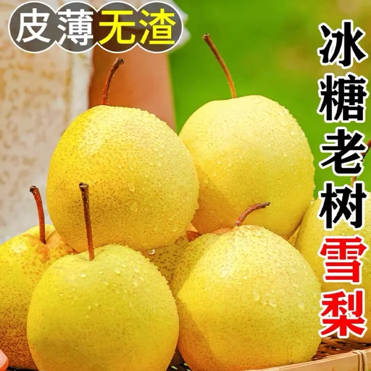 5斤雪梨河北赵州当季脆甜多汁夏季新鲜水果梨子整箱批发雪花梨