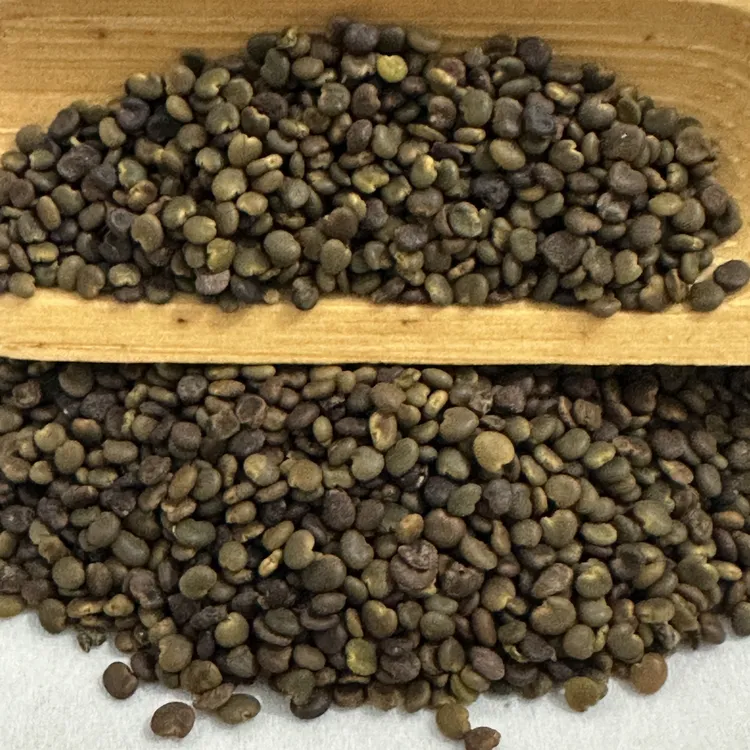 沙苑子 正品新货可搭配枸杞泡茶养生