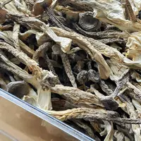 鹿茸菇煲汤炖汤汤料11