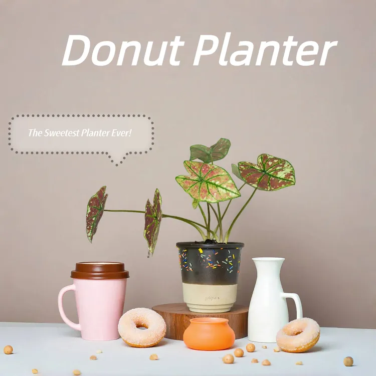 甜甜圈风格，手工陶土材质，适用于多肉种植与办公桌装饰
