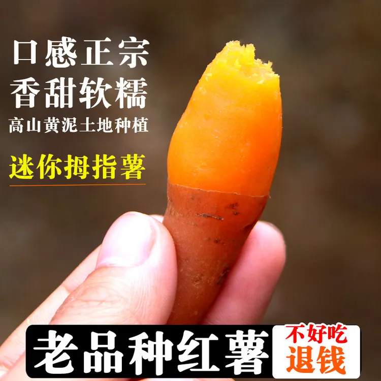 贵州紫云红心番薯地瓜迷你拇指板板栗高山红薯新鲜小番薯