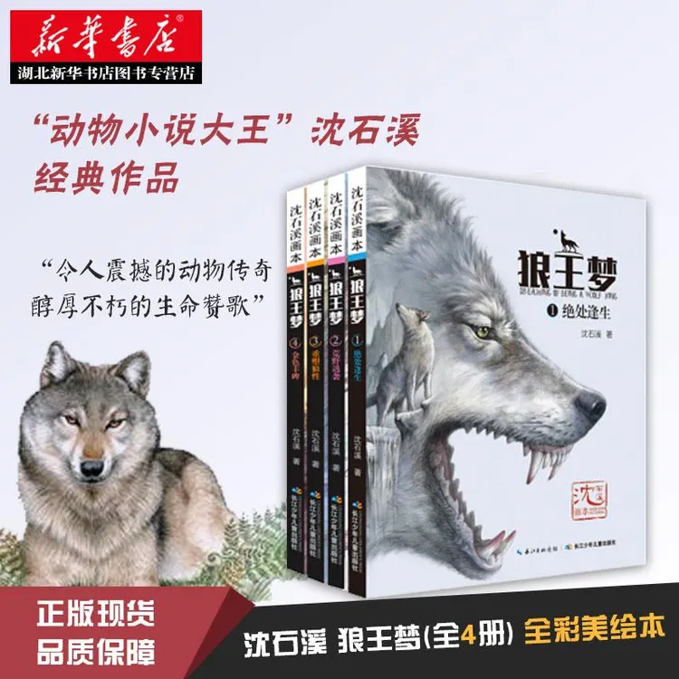 正版包邮 沈石溪狼王梦全套4册 课外书 六年级 动物小说全集 课外