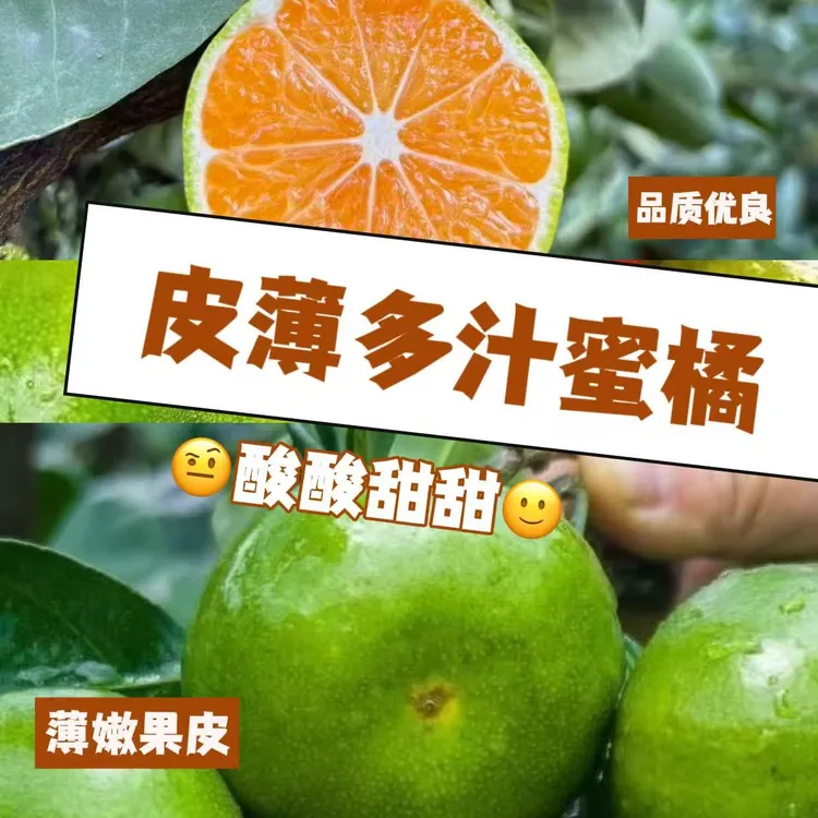 精选正宗贵州黔南三都沃屯应季新鲜水果橘子桔子柑橘青皮蜜桔