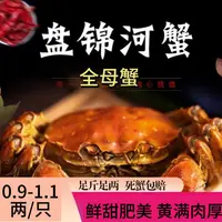 【活蟹】盘锦河蟹小婉专属 全母稻田蟹 0.9-1.1两/只2斤顺丰包邮