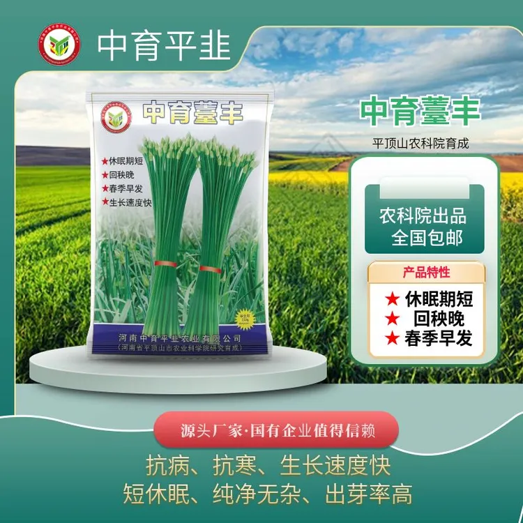 中育薹丰韭菜种子