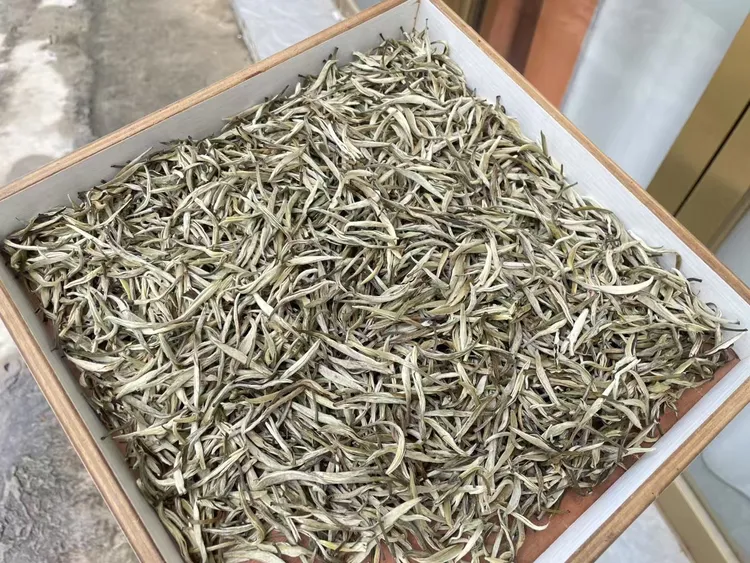 2025新茶茉莉花茶月光白高窨茉莉花茶散装