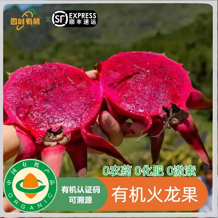 【高品质】有机火龙果 红心树熟当季新鲜水果孕妇宝宝食用露天种植