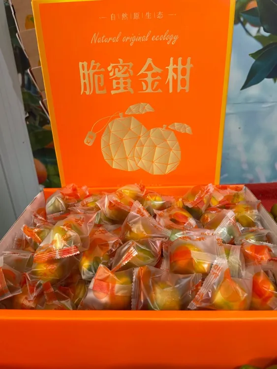 广西融安第三代脆蜜秋冬脆嫩金桔脆蜜金桔鲜果（礼盒装）顺丰包邮
