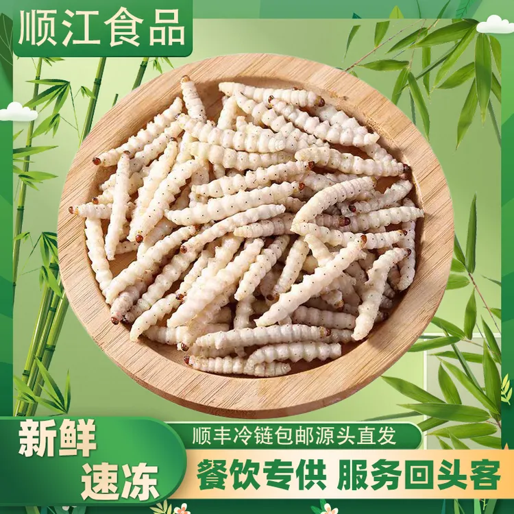 鲜活竹虫云南广东竹虫竹子虫新鲜速冻