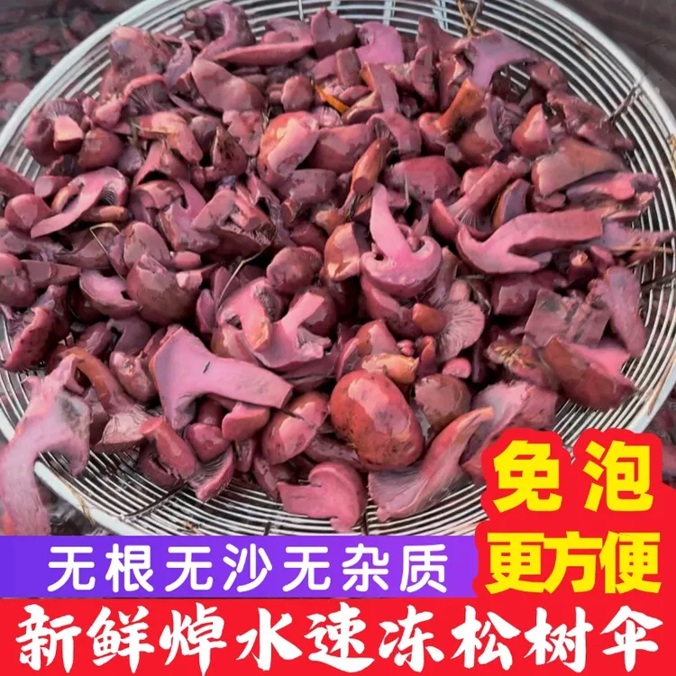 【焯水速冻松树伞】新鲜速冻松树伞红蘑肉蘑红松伞鸡血蘑