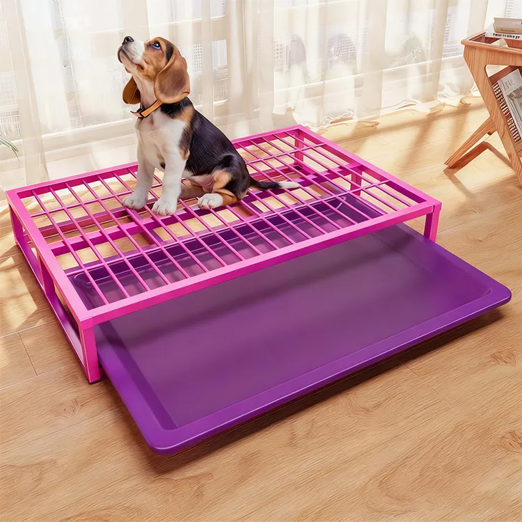 狗狗专用厕所中小型犬防踩屎网架托盘托架子宠物狗尿盆便盆尿垫子