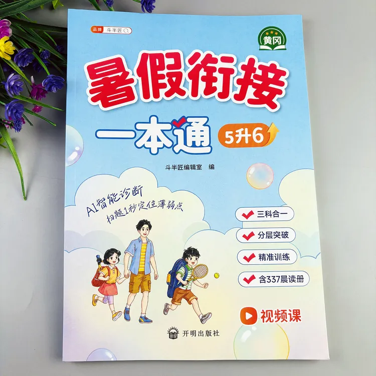 暑假衔接一本通五升六暑假衔接练习册五年级暑假一本通暑假作业