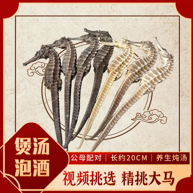【正品大马】一物一拍海干货马馬足干配对生晒泡酒煲汤料送礼佳品 