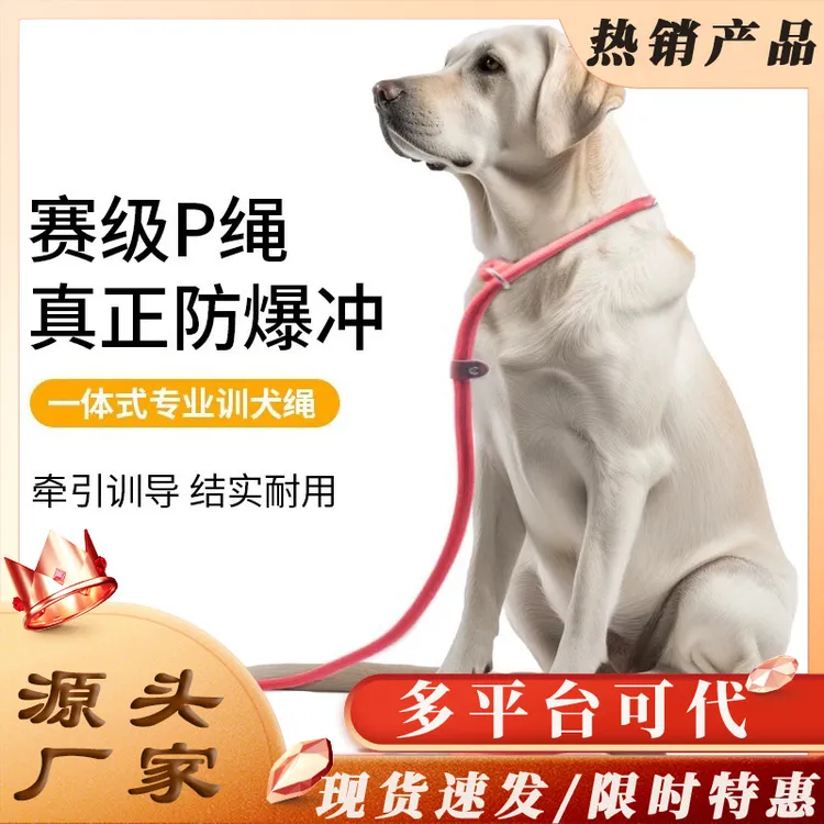 狗绳防爆冲链子小中大型犬外出遛狗神器p绳p链遛狗绳子