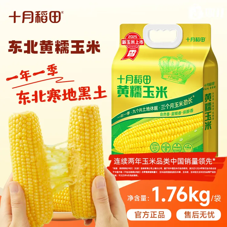 粗粮轻食十月稻田黄糯白糯黑糯玉米香甜糯东北黏苞米早餐食材夜宵