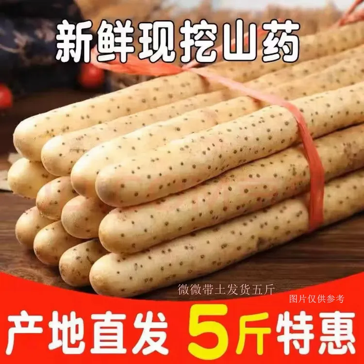 【铁棍山药】软糯香甜产地直发生鲜蔬菜宝宝辅食带箱五斤50-70厘米