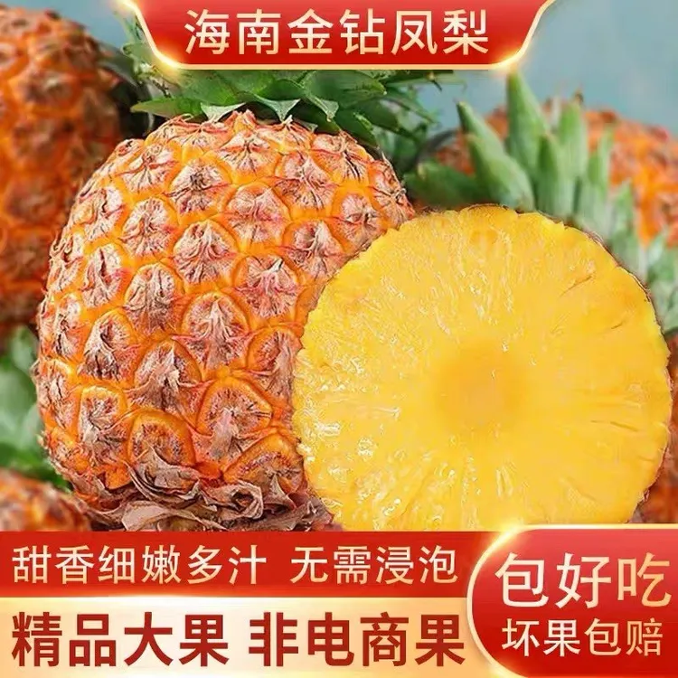 【正宗】海南金钻凤梨新鲜现摘应季水果孕妇手撕无眼菠萝大果包邮商品图
