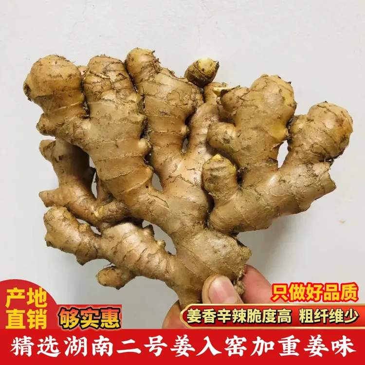 精选湖南本地小黄姜特级高山新鲜生姜老姜批发正宗老黄姜产地直销