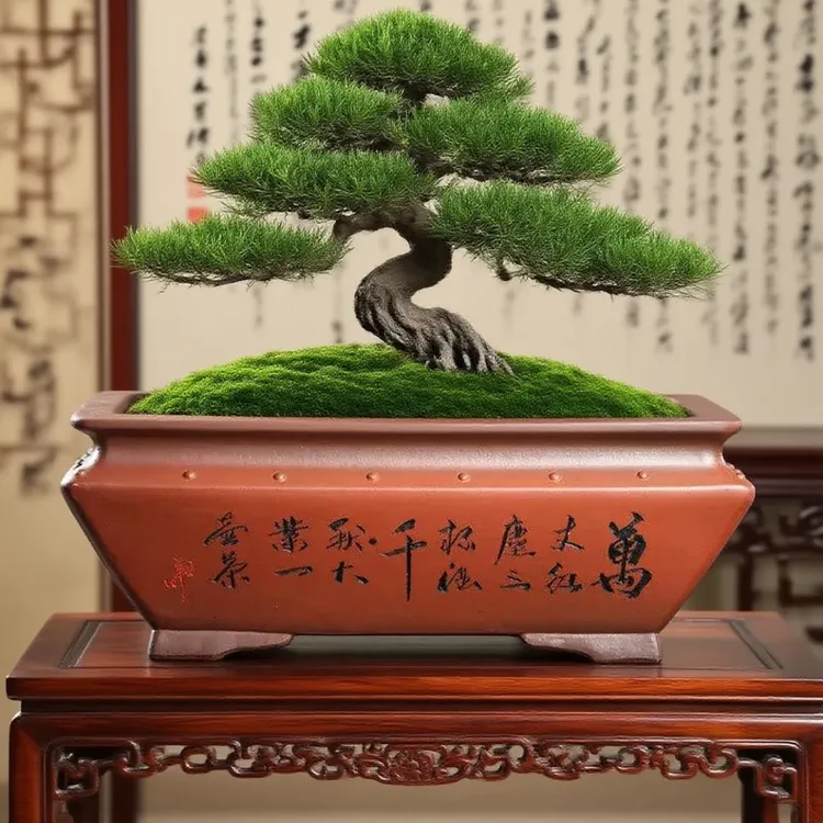 紫砂长方形大口径马槽花盆紫砂花盆适合盆景种树阳台种菜