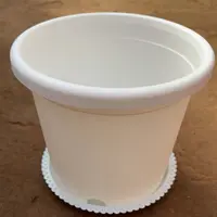 175四季花盆加仑塑料盆
