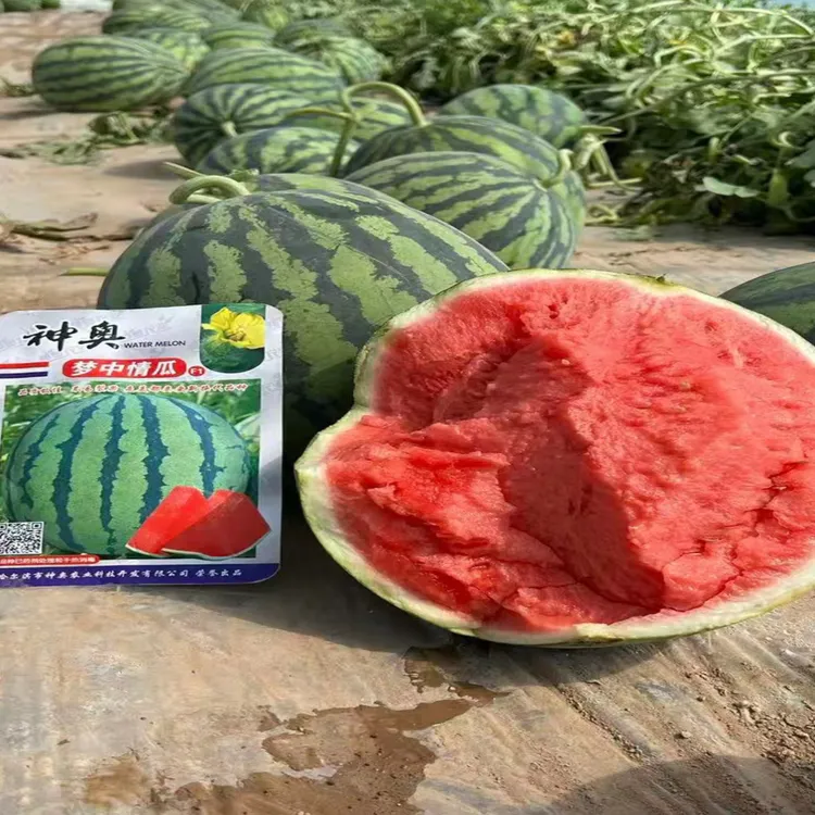 神奥梦中情瓜西瓜正宗种子早中熟早春大棚基地种植品种