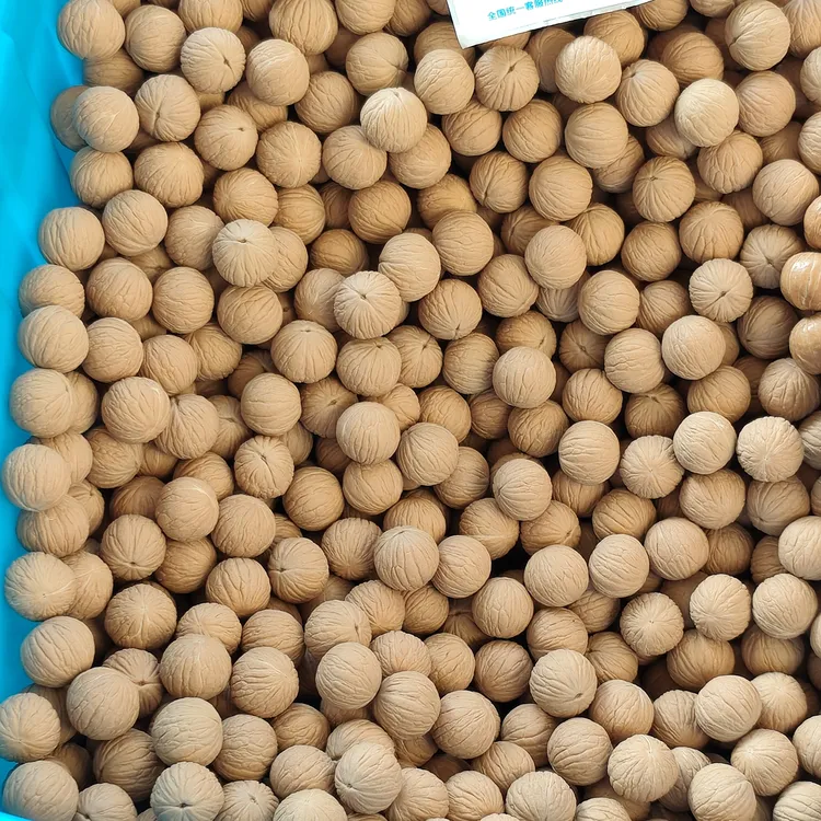 凤羽猴头核桃200粒装