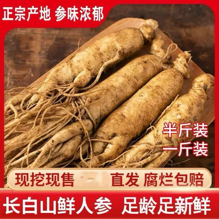 （永乐行）5年鲜人参条条