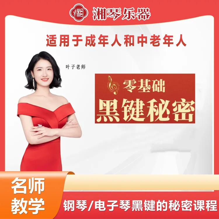 湘琴叶子电子琴钢琴左手万能伴奏黑键课程零基础小白快速入门