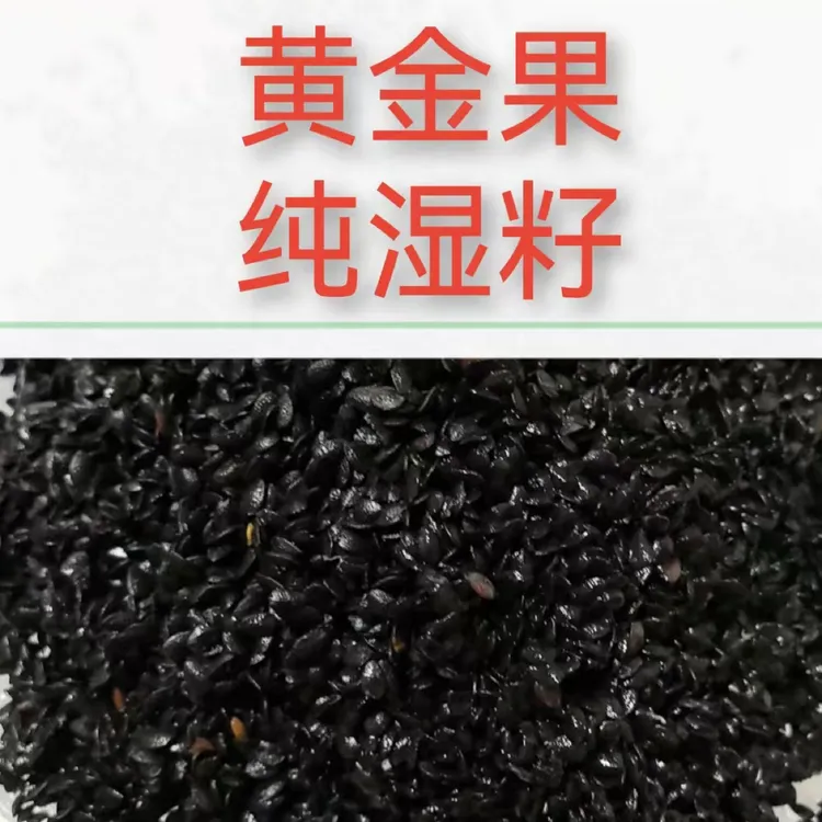 百香果籽（有个别果皮果把）