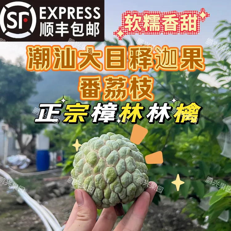 (顺丰)潮汕大目释迦果正宗樟林番荔枝佛头果摩尼果本地林檎大果批