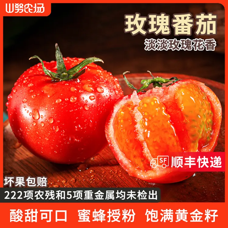 【顺丰快递】山努玫瑰番茄水果自然熟草莓西红柿香甜多汁生吃小柿子