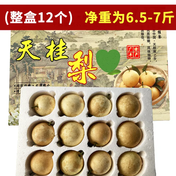 当季现摘广丰天桂梨上饶特产早熟梨脆甜多汁新鲜水果酥梨
