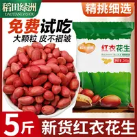 稻田绿洲东北红皮红衣花生米新鲜晒干花生五谷杂粮粗粮