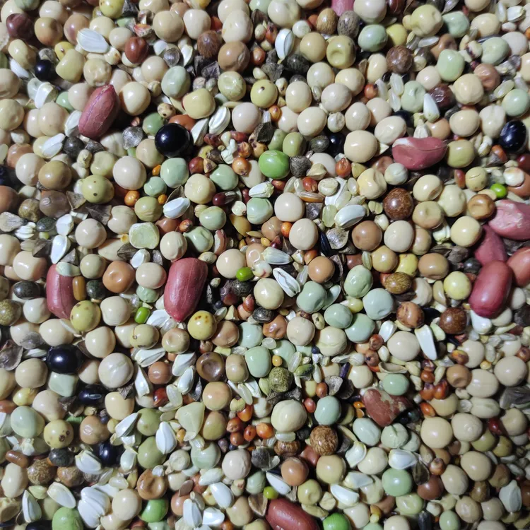 粮良德易加强幼鸽（多花生）50斤包邮