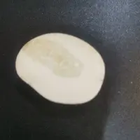 猛犸虬饼子kk705