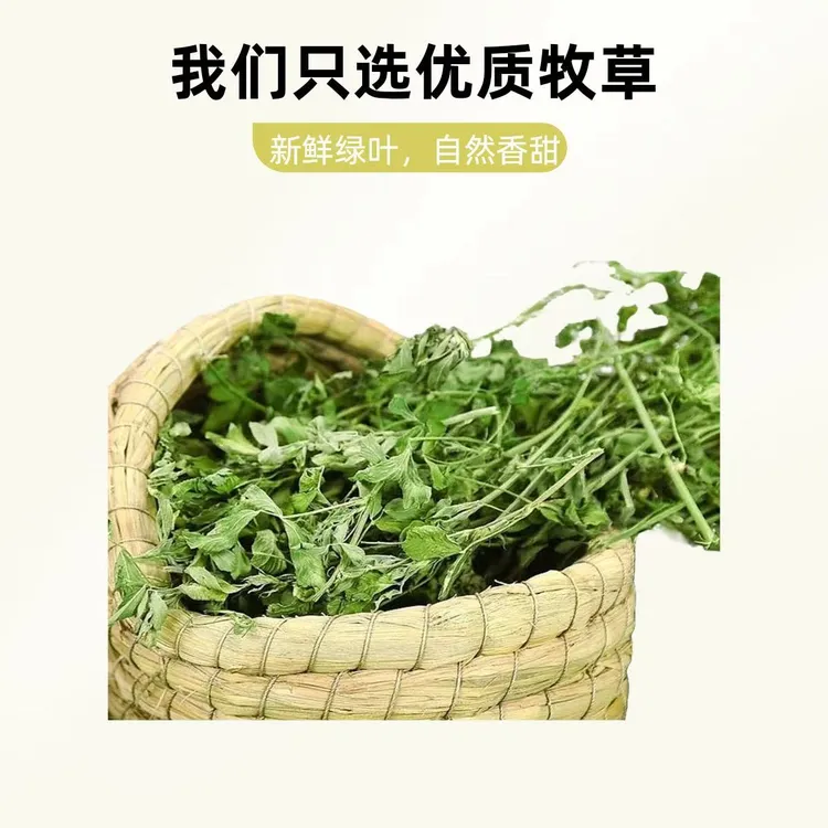 25年精品烘干紫花苜蓿草干草幼兔子龙猫豚鼠兔子草粮荷兰猪牧草