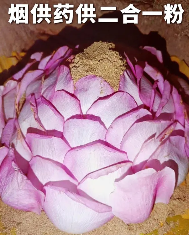 烟供粉药供二合一菩提粉下施火施塔香药香火供烟施藏香粉烟施施食