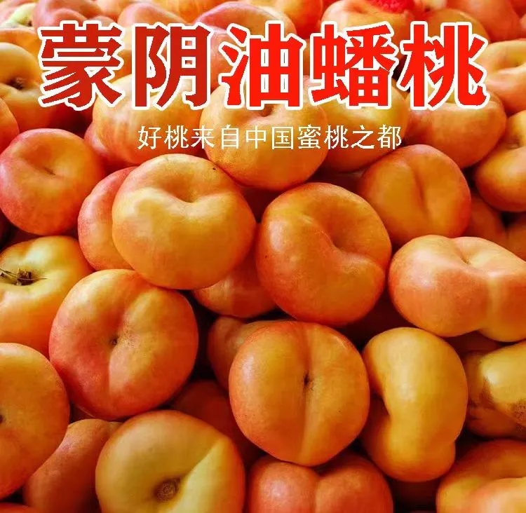 【香甜爆汁】蒙阴彩虹黄金油蟠桃夏日尝鲜应季山东临沂蒙阴黄金蟠桃