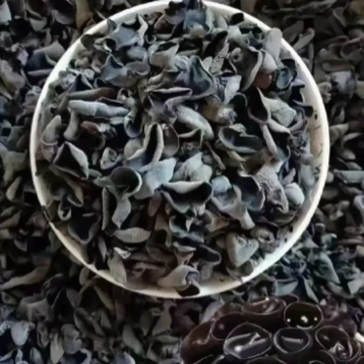 原产地东北木耳温差大、口感好、颜色纯正