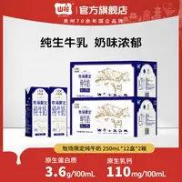 【纯牛奶】山花牧场限定纯牛奶3.6g蛋白学生250ml*12盒*2箱